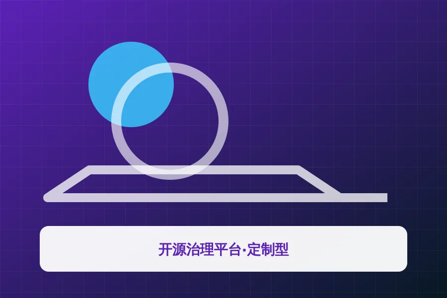 开源治理平台·定制型应用示意图